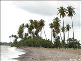 La Ochenta Beach - SALINAS
